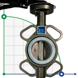PN16 DN65 Butterfly valve, body and disc made of stainless steel AISI 304, Seat PTFE