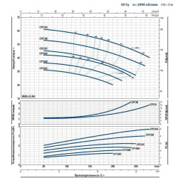 Pompa jest odśrodkowa CP 210C