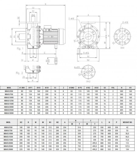 Edelstahlpumpe NX65/1250 (160), 9,3 kW, 132 m3/h, 36,5 m, 380V/T, AISI 304 (EBARA 3M 65-160/9.2)