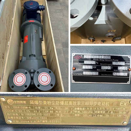 Vakuumpumpe 2BV6131 Ex aus Edelstahl AISI 316, long frame
