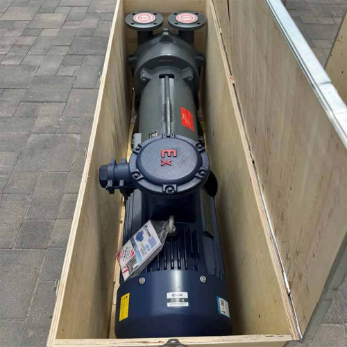 Vakuumpumpe 2BV6131 Ex aus Edelstahl AISI 316, long frame
