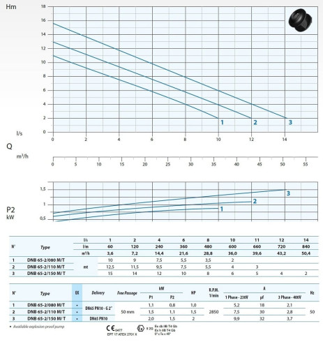 Tauchpumpe Dreno DNB-EX 65-2/080 T mit S-förmigem zweikanaligem Laufrad