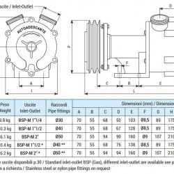 Вихровий насос для перекачування фруктових соків LIVERANI SPECIAL SENIOR 1 1/2 FM 12V, 120 л/хв, AISI 316, без двигуна