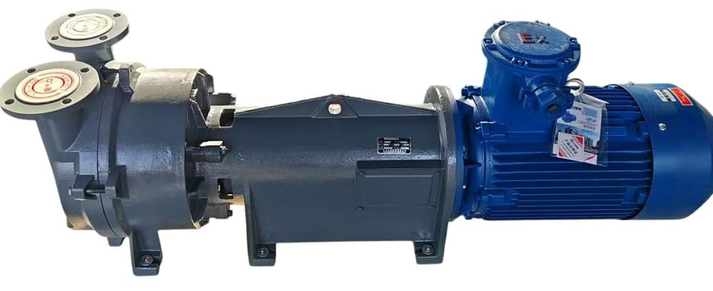Vakuumpumpe 2BV6161 Ex (AISI 316), long frame