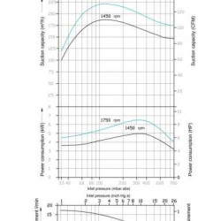 Pompe à vide à anneau liquide DLV-180 AISI304