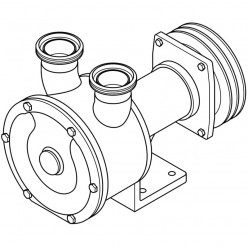 Bomba Vortex para bombeo de gasóleo LIVERANI SPECIAL 60 Inox 2 FM 12V, 350 l/min, AISI 316, sin motor