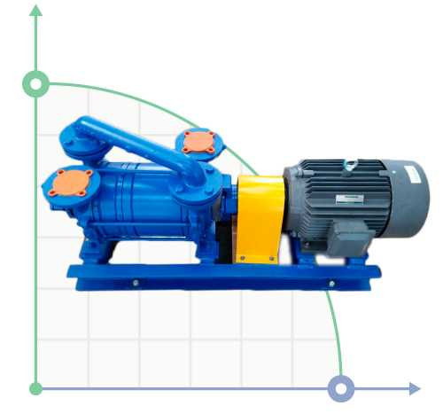 DLV-180 AISI316 Water ring vacuum pump (with motor)