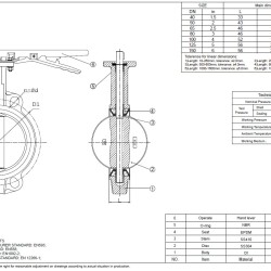 PN16 DN40 Butterfly valve, cast iron body, AISI 304 disc, Seat EPDM