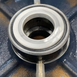 BGLH 100-315, 55, (100/125), 75kW, 2880 stainless in-line pump with tandem mechanical seal