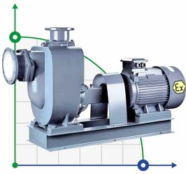 Self-priming stainless steel pump for explosive substances BZWHB65-30-18/2, 4kW, 2900, Ex