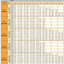 Blower RUUT BLOWER H 9 (DN 100), 1200m3/h