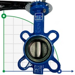 PN16 DN50 Butterfly valve, cast iron body, AISI 304 disc, Seat EPDM