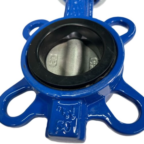 PN16 DN50 Butterfly valve, cast iron body, AISI 304 disc, Seat EPDM