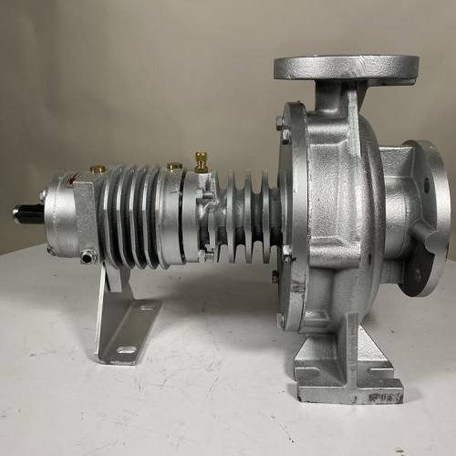 Pompe à huile chaude EMSE EKY 40-200, 15 kW, 2900, sans moteur