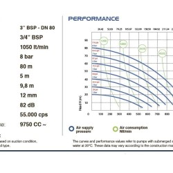 Membranpumpe für Wiese PHOENIX P1000 PP SANTOPRENE+PTFE/PTFE, 1050 l/xv