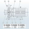 BGWH 100-250(I)A (140/72), 45kW, 2880 - насос нержавіючий горизонтальний