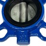 PN16 DN65 Засувка Батерфляй, чавунний корпус, диск AISI 304, Seat EPDM