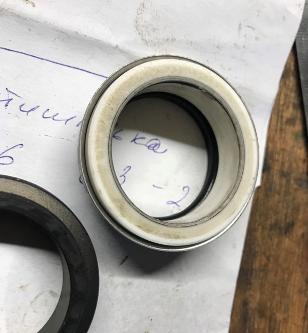 Sustitución del sello mecánico Speroni CX 50-200/11